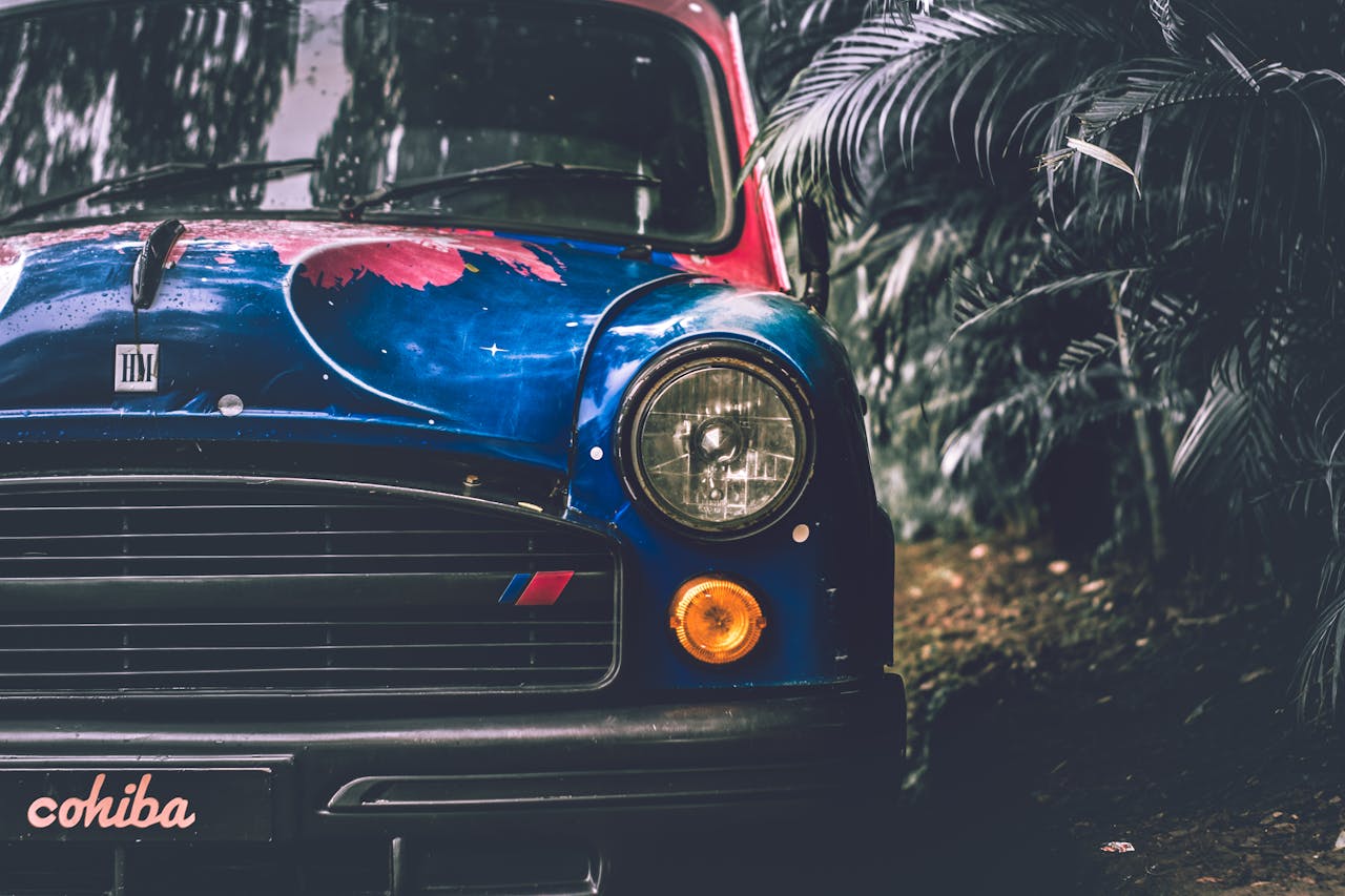 testimonial-image Close-up of a vintage car with artistic paint, surrounded by tropical plants.