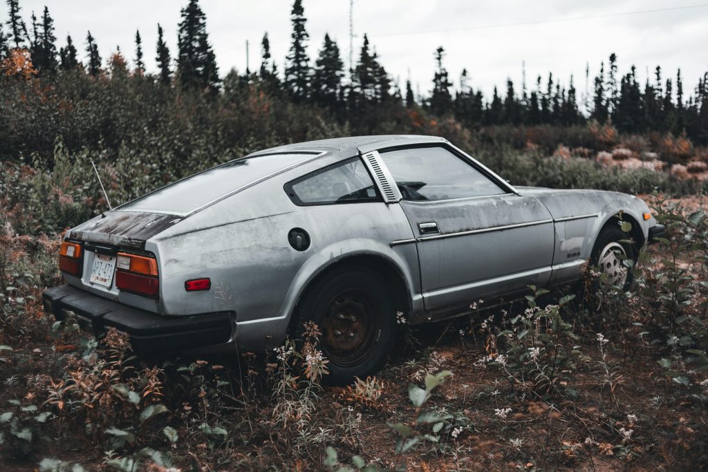 A classic silver car in an overgrown field surrounded by dense forest, capturing a nostalgic feel.